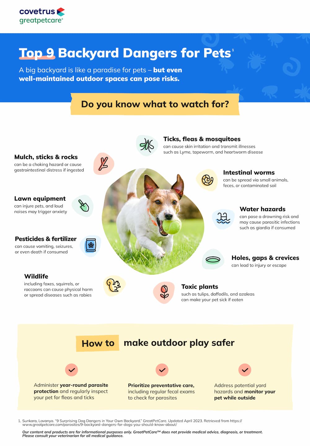 Backyard dangers for pets infographic