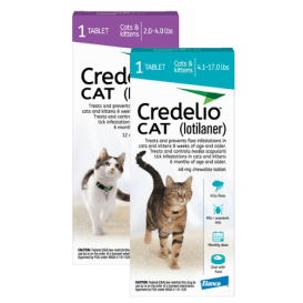 Credelio Cat flea and tick control medication