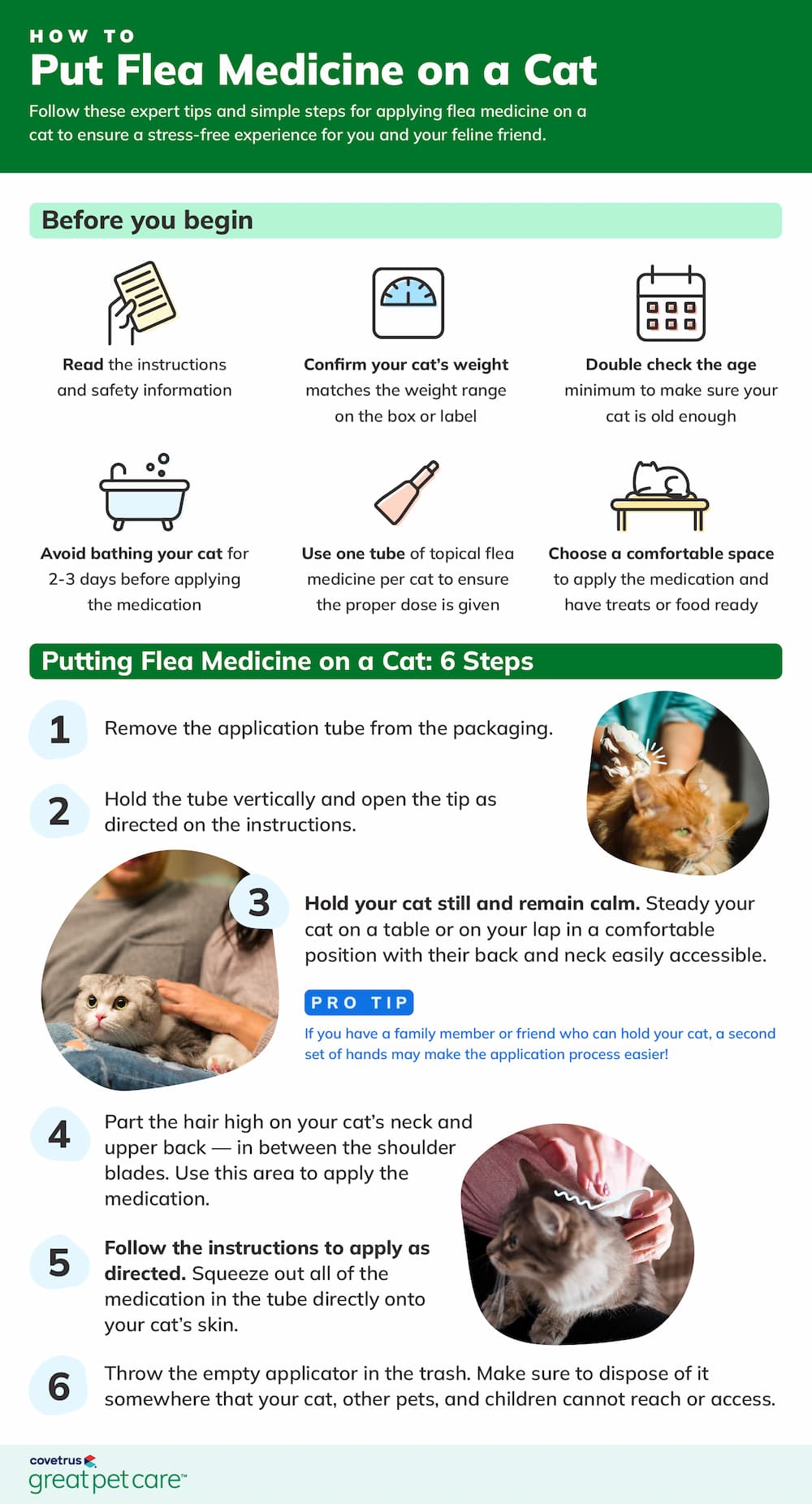 How to put flea medicine on a cat infographic