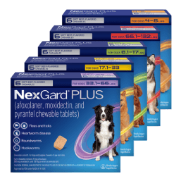 NexGard Plus