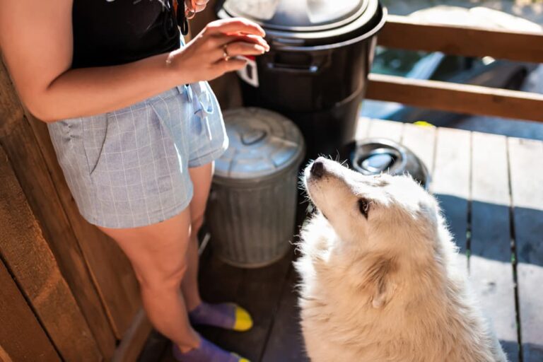 Woman training Great Pyrenees dog to stay out of the trash