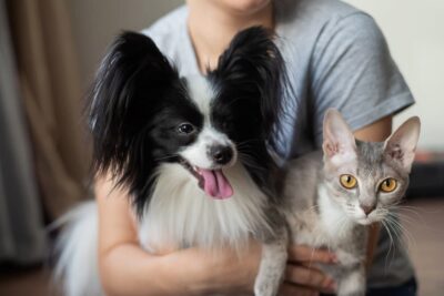 How to Help Prevent Itching in Dogs and Cats: 8 Tips