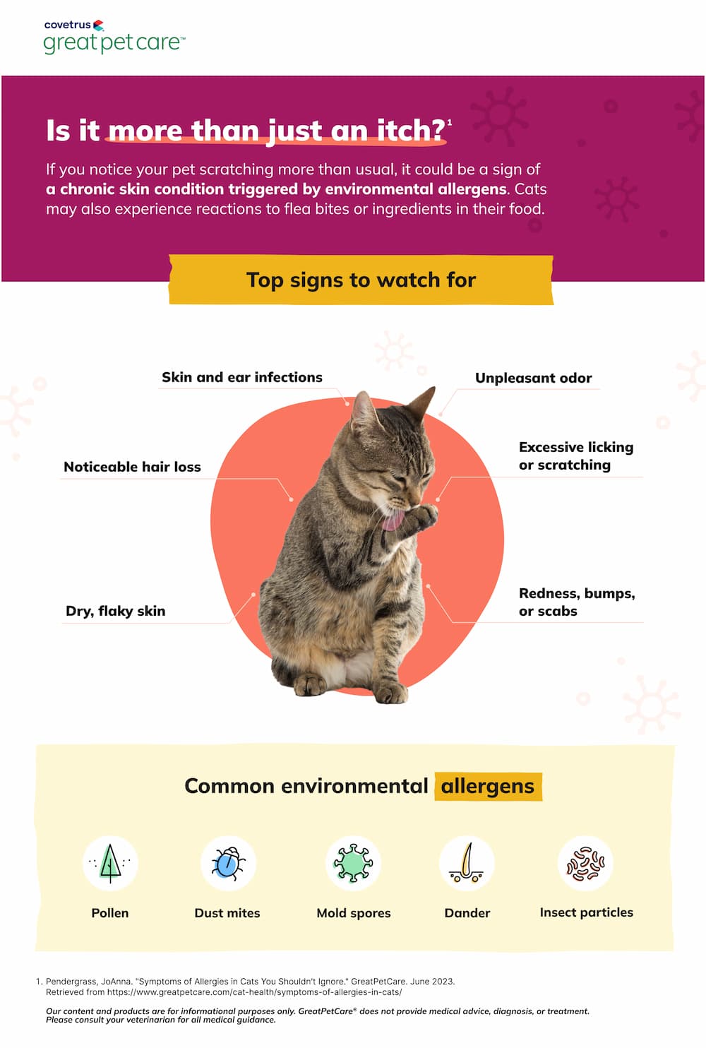 Signs of allergic itch in cats infographic