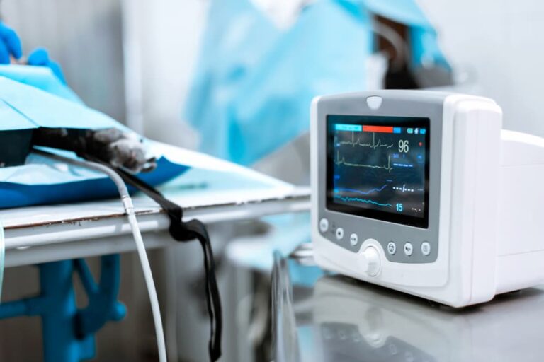 Heart rate monitor in veterinary hospital