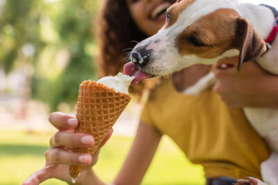 Can Dogs Get Brain Freeze? Can Dogs Get Brain Freeze?