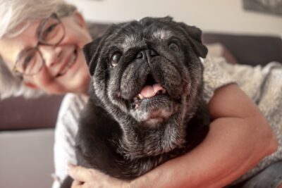 9 Ways to Help Your Senior Dog Age Gracefully