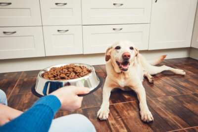 Heart Healthy Dog Food: 4 Vet-Recommended Diets Heart Healthy Dog Food: 4 Vet-Recommended Diets