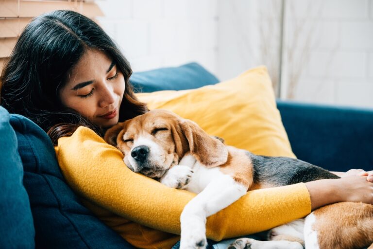 Can Dogs Have Nightmares? Can Dogs Have Nightmares?