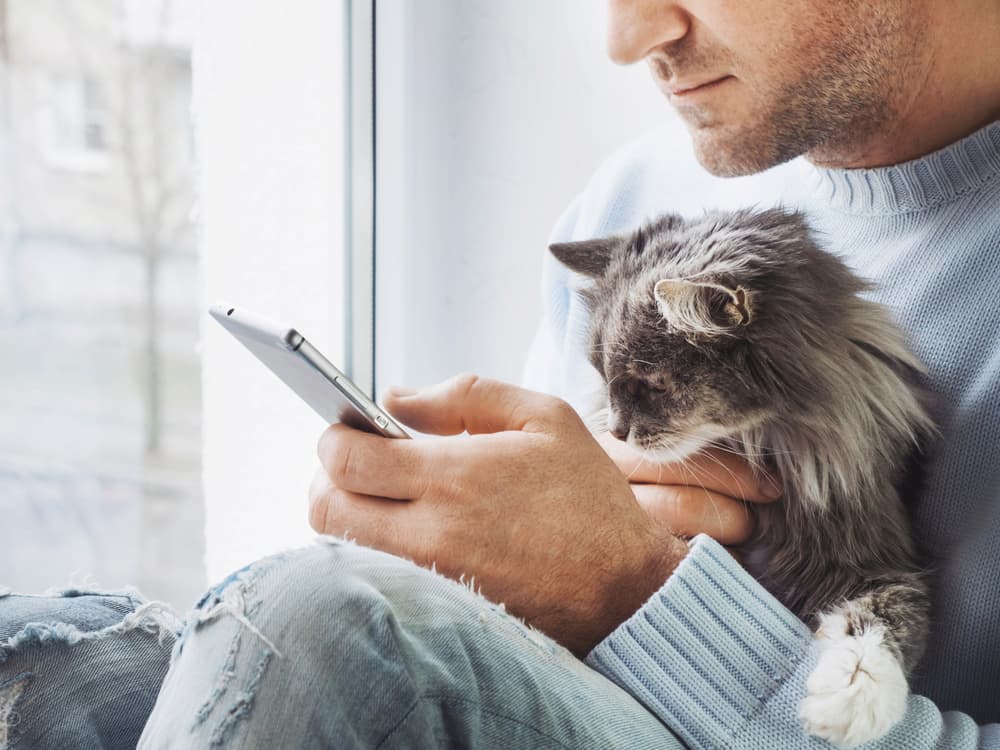 GreatPetCare Pet Parent Portal GreatPetCare Pet Parent Portal