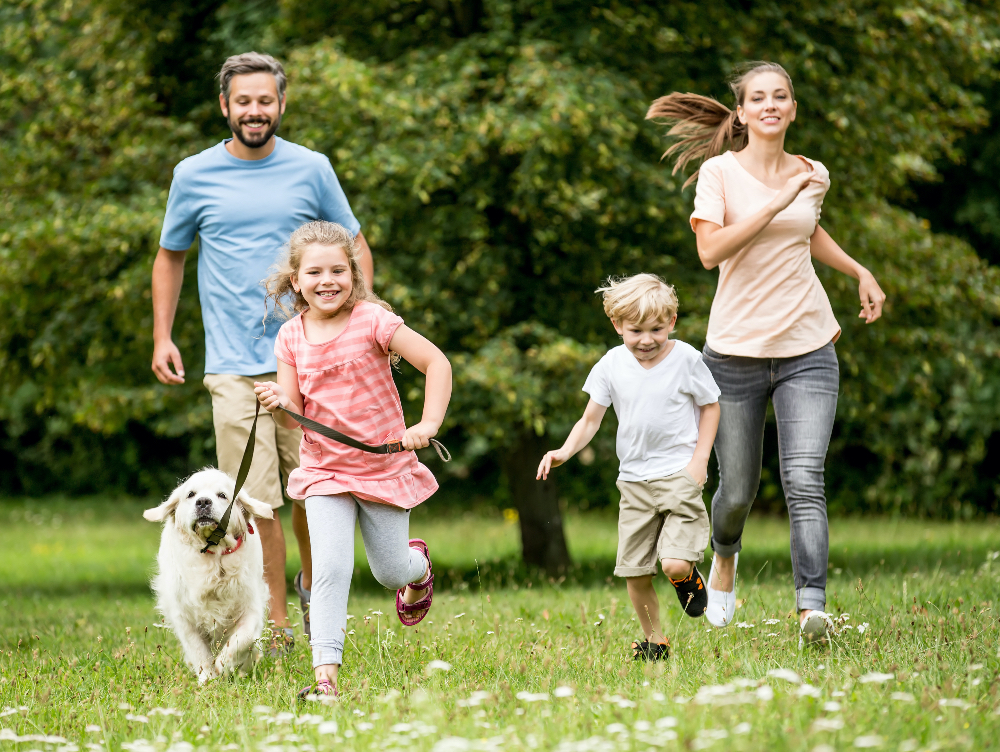 Preparing for Outdoor Activities With Your Pet