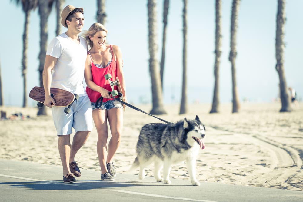 The Best Dog Parks in Los Angeles: The Definitive List