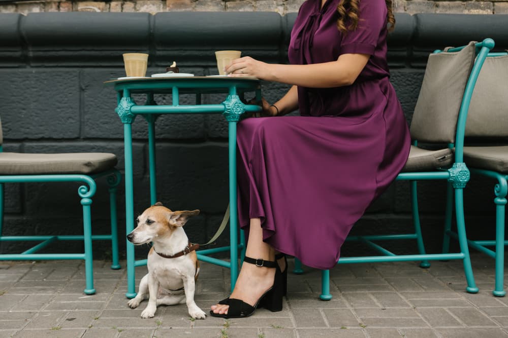 20 Dog-Friendly Restaurants NYC is Home To