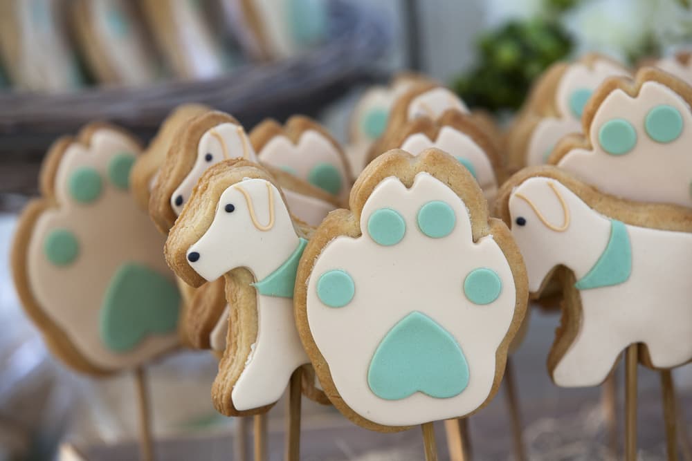 The Best Dog Bakeries in Philadelphia