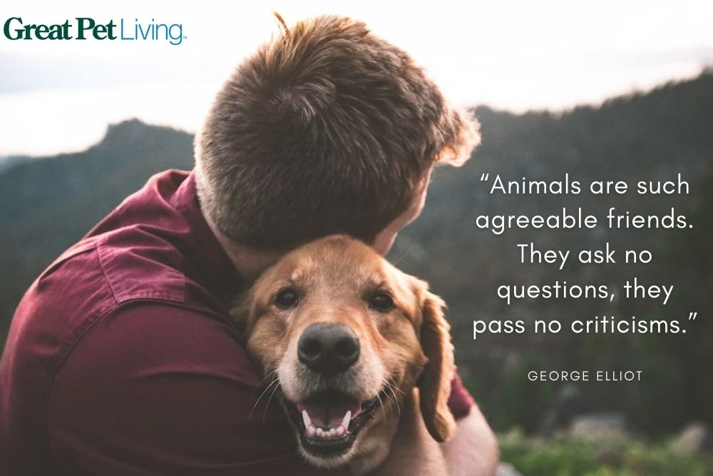 Man hugging dog with quote