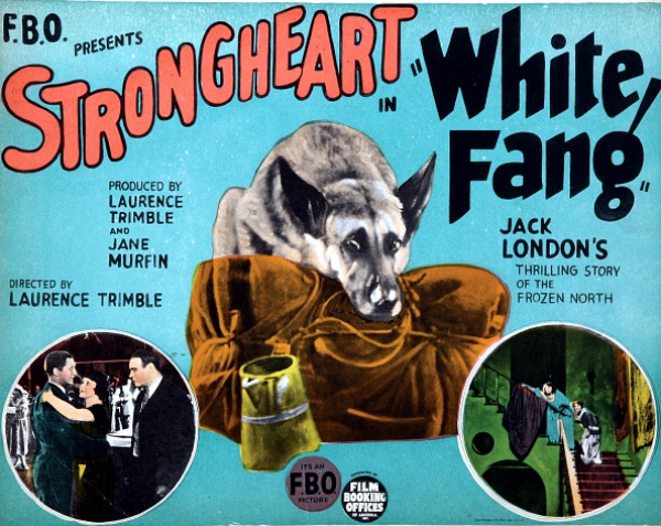 White Fang movie poster
