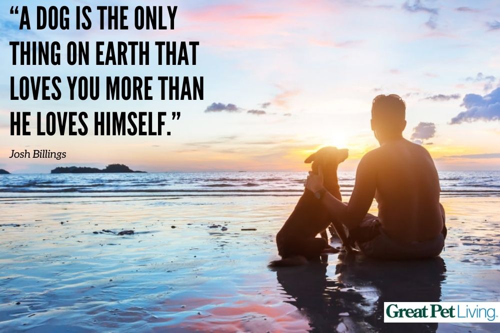 Dog and man on beach with quote