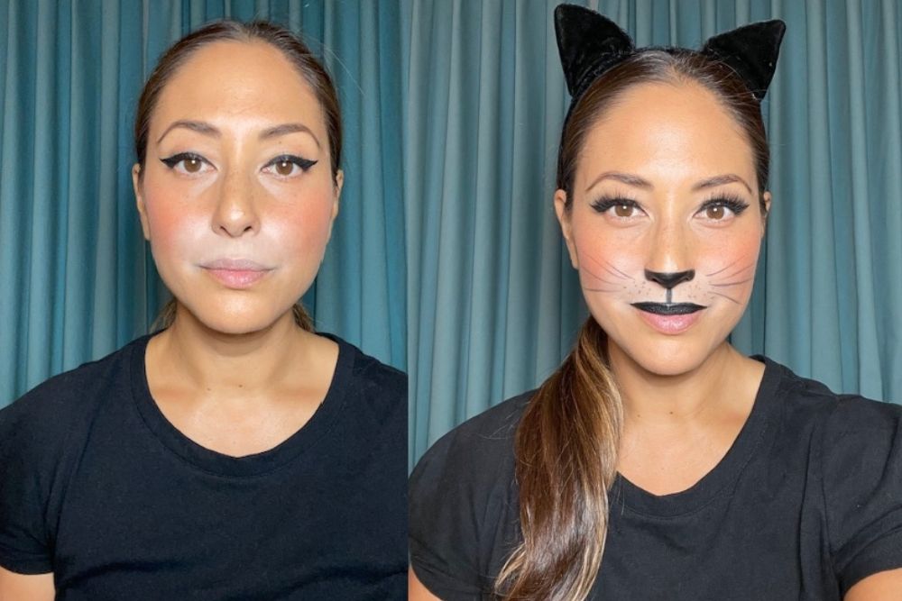 cat face paint whiskers