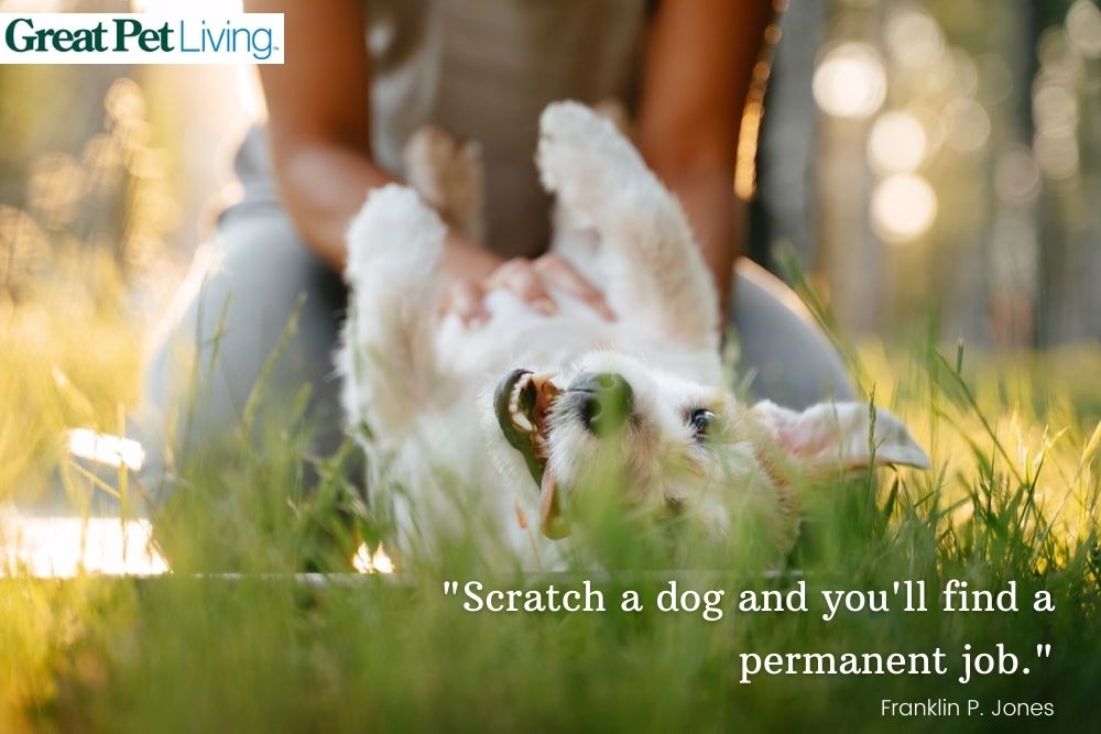 woman scratching dog belly with quote