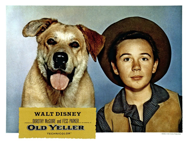 Old Yeller movie poster