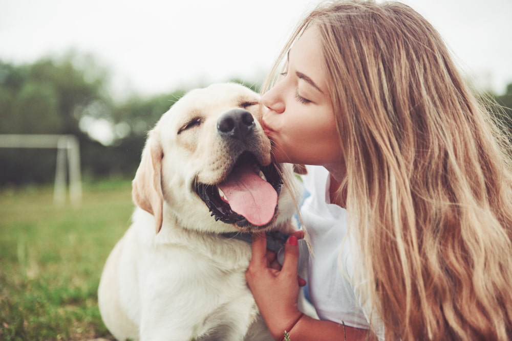 30 Dog Best Friend Quotes to Celebrate Your Bond