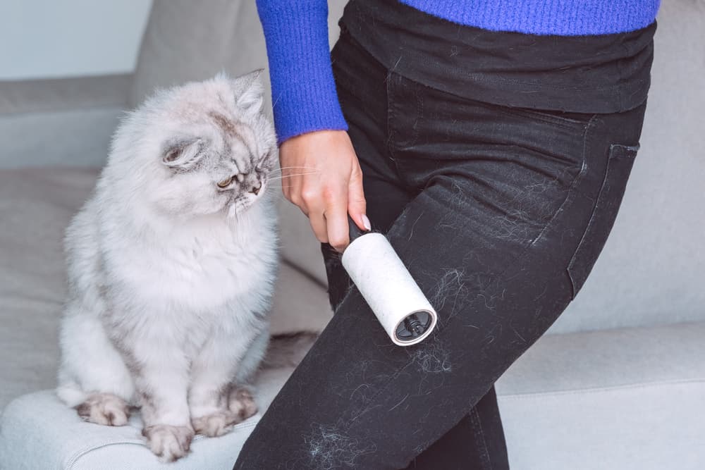 Woman with lint roller