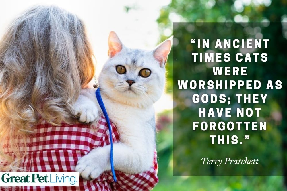 cat-god-quote