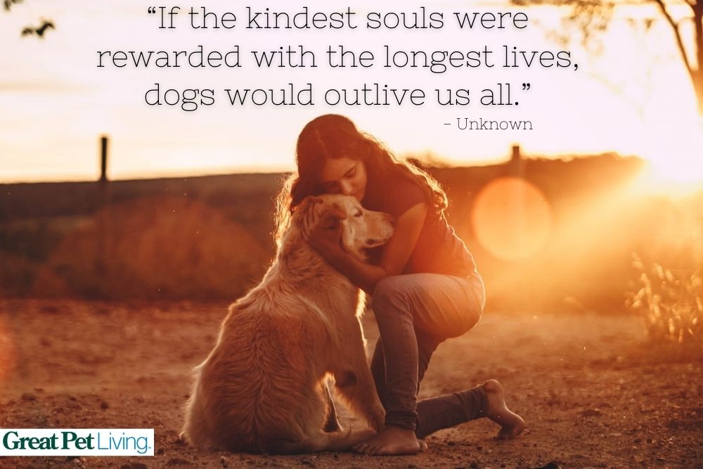 Woman hugging old dog with quote