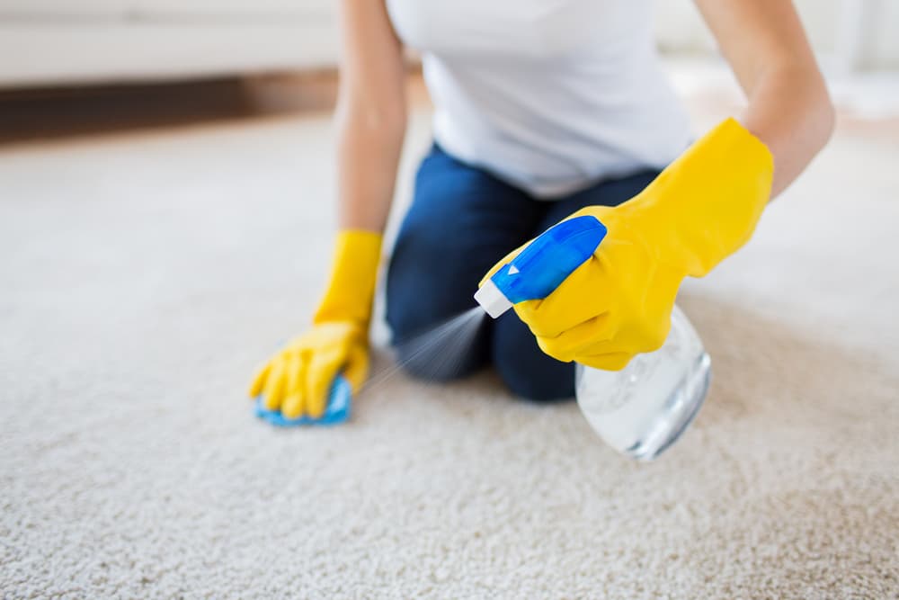 Woman cleaning carpet
