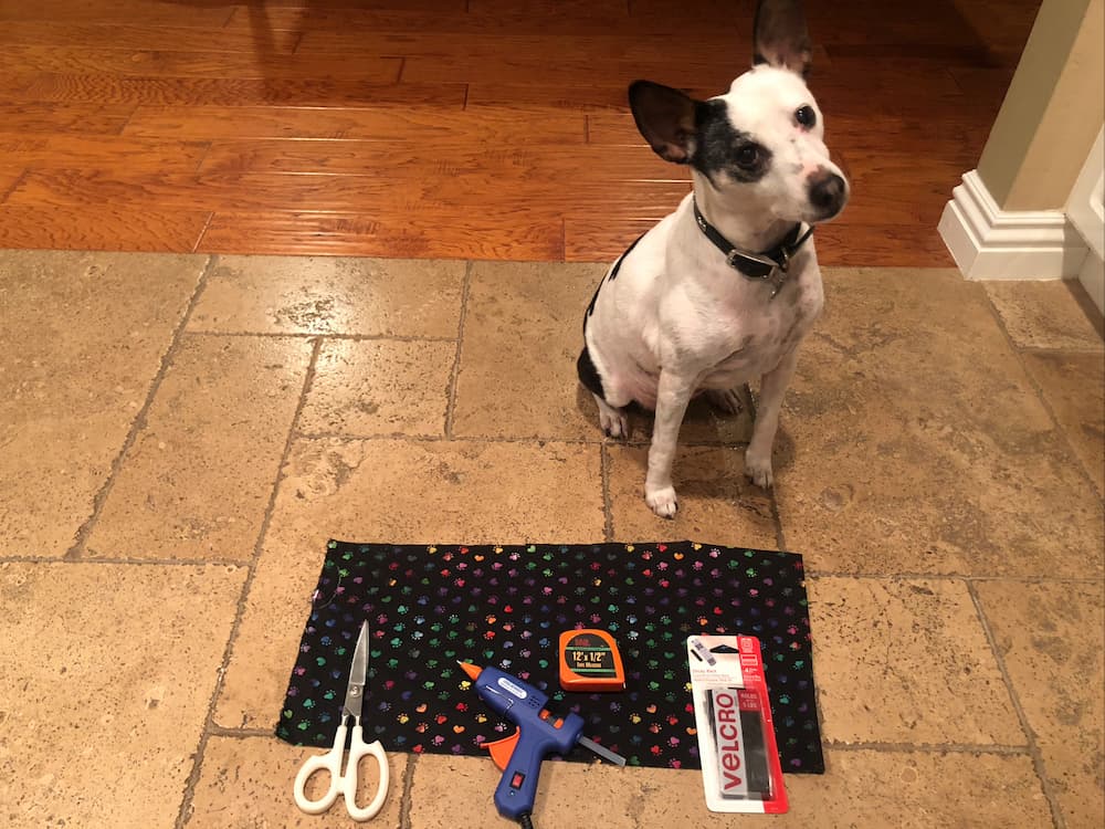 materials for DIY dog bandana