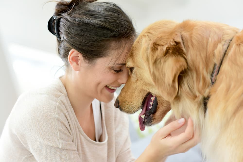 40 Best Dog Mom Quotes for Devoted Pet Parents