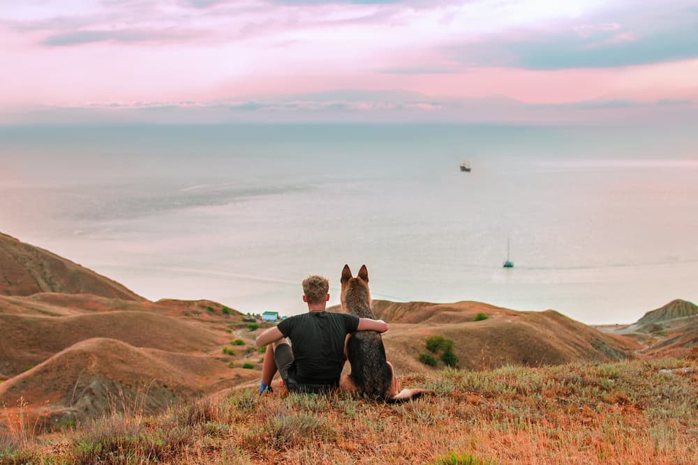 33 Loss of a Dog Quotes for Grieving and Healing