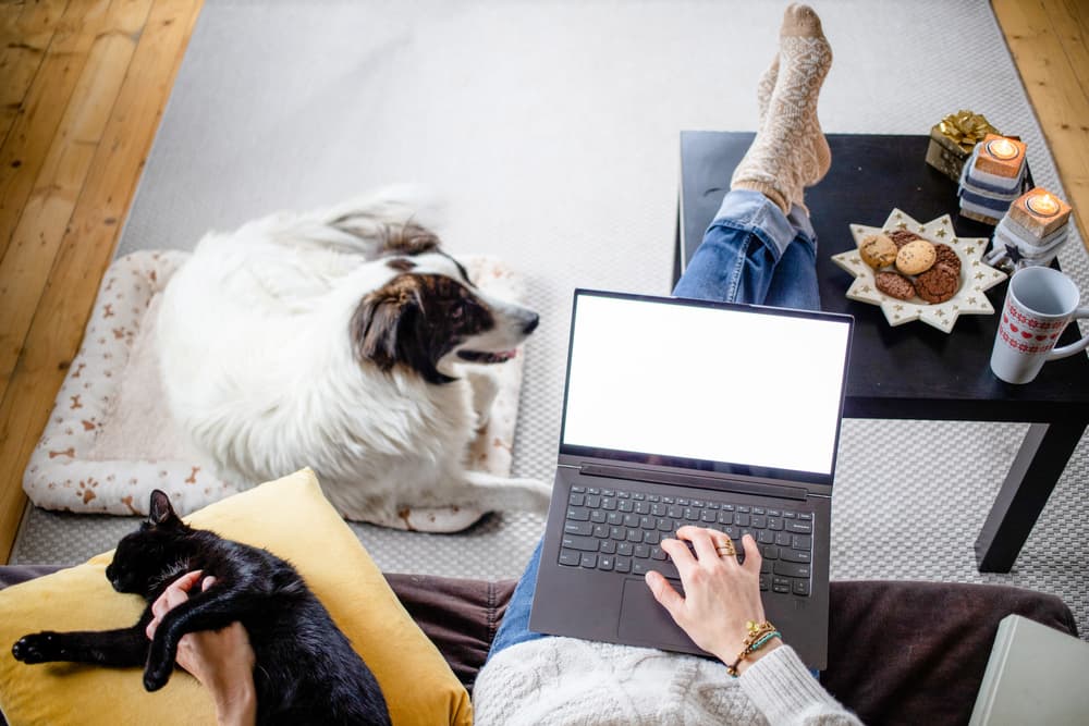 Lady working at home with dog next to candles