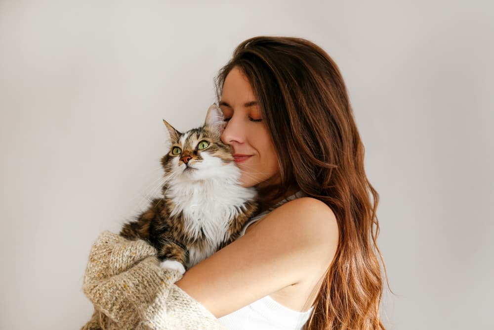 Owner holding cat beloved cat