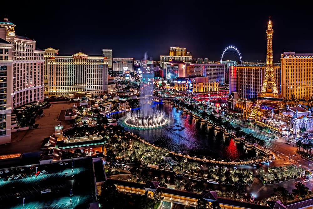 25 Dog-Friendly Hotels in Las Vegas