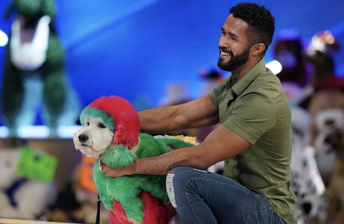 Dog Groomer Gabriel Feitosa Cuts and Colors His Way To The Top