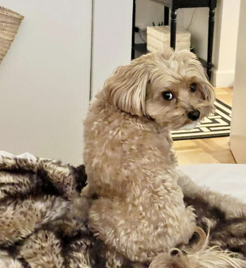Side Eye Nate dog