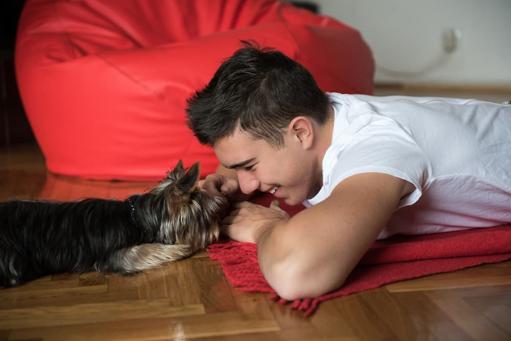 Dog playing with owner on a mat