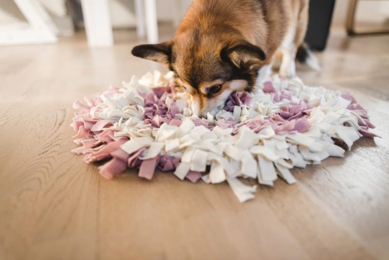 Dog using a snuffle mat made from diy for dog puzzles