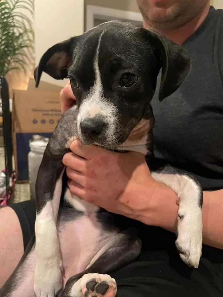 Ruby is cuddling