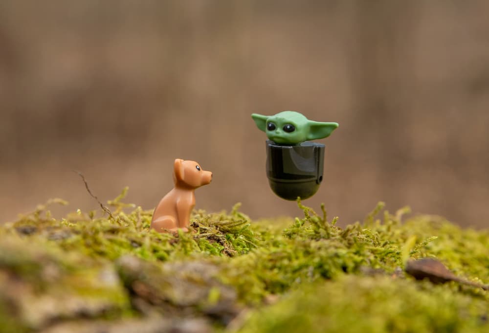 Star Wars Quiz: Which Movie Character Would Your Dog Be?