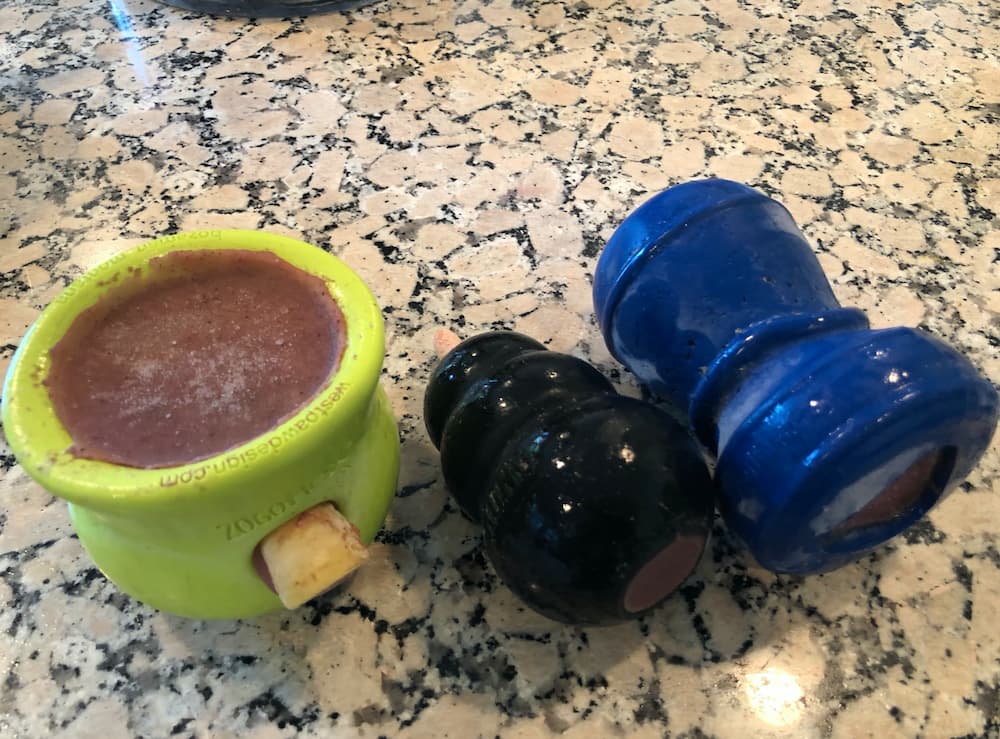 Frozen Kong dog treats