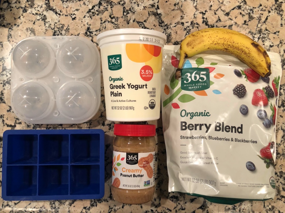 Frozen berry dog treat recipe
