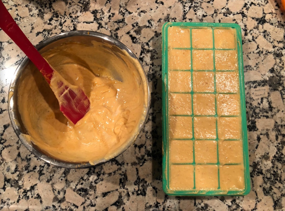 frozen pumpkin dog treats in ice cube tray