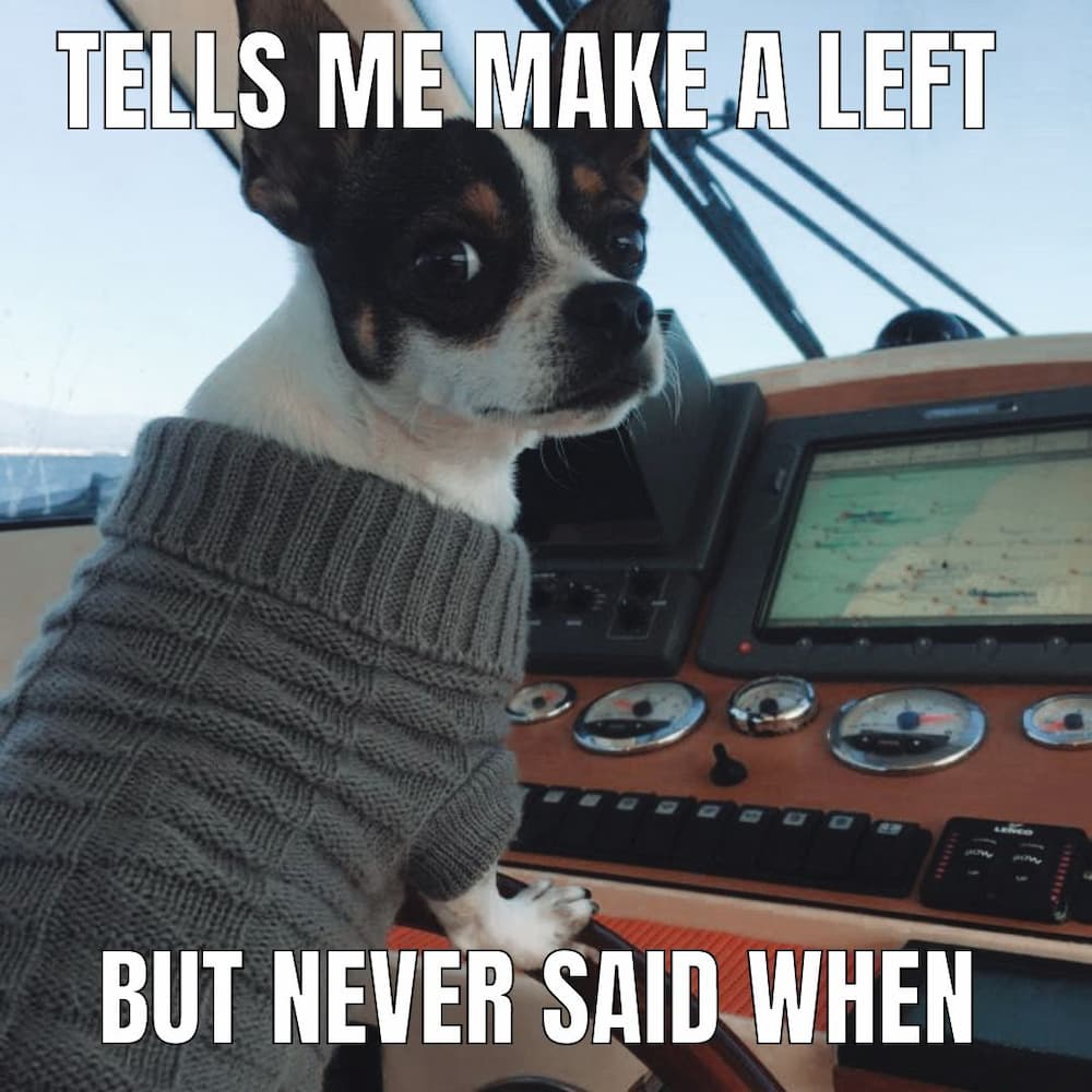 dog boat
