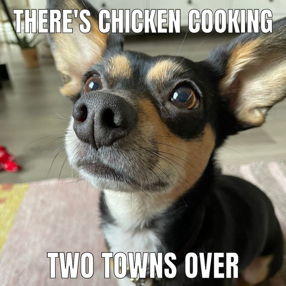 close up chi