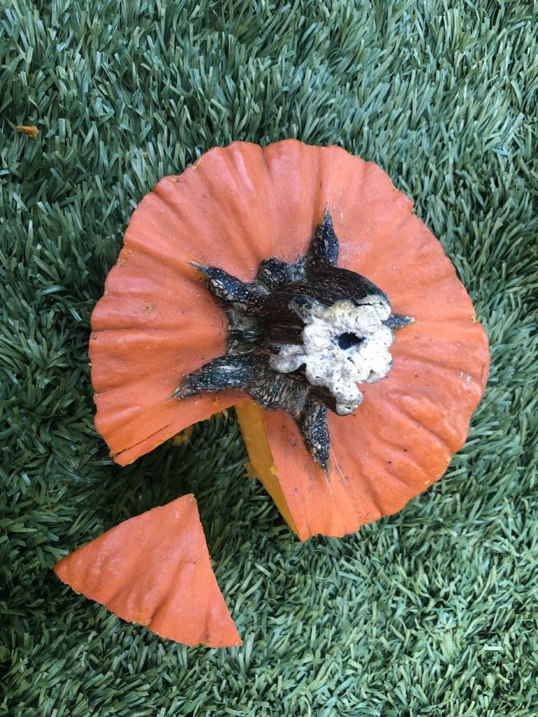 Making cat ears for jack-o-lantern