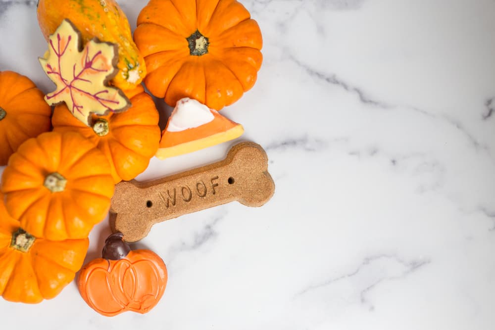 Dog Halloween Treats