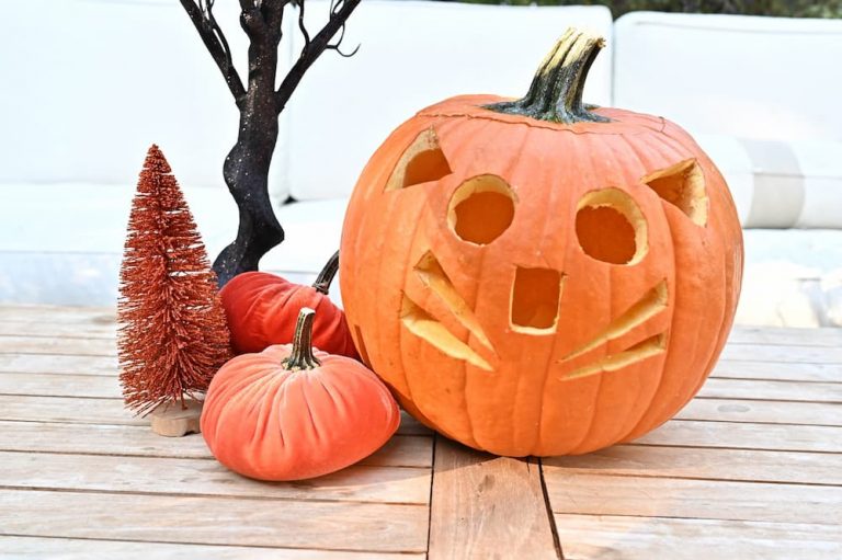 simple cat pumpkin