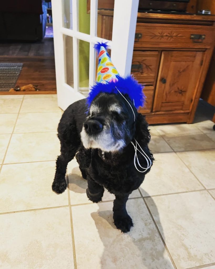 Figaro celebrates his rescue