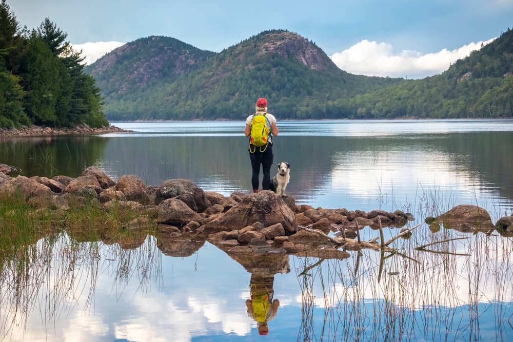10 Best Dog-Friendly Hotels in Maine
